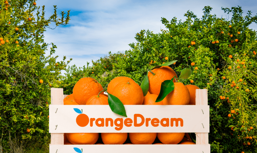 image-greek-orange1